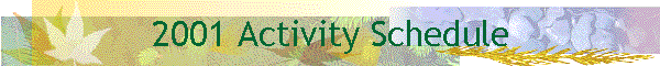 2001 Activity Schedule