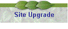 Site Upgrade
